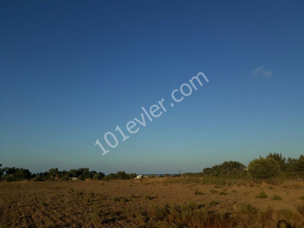 Residential Zoned Plot For Sale in Lapta, Kyrenia