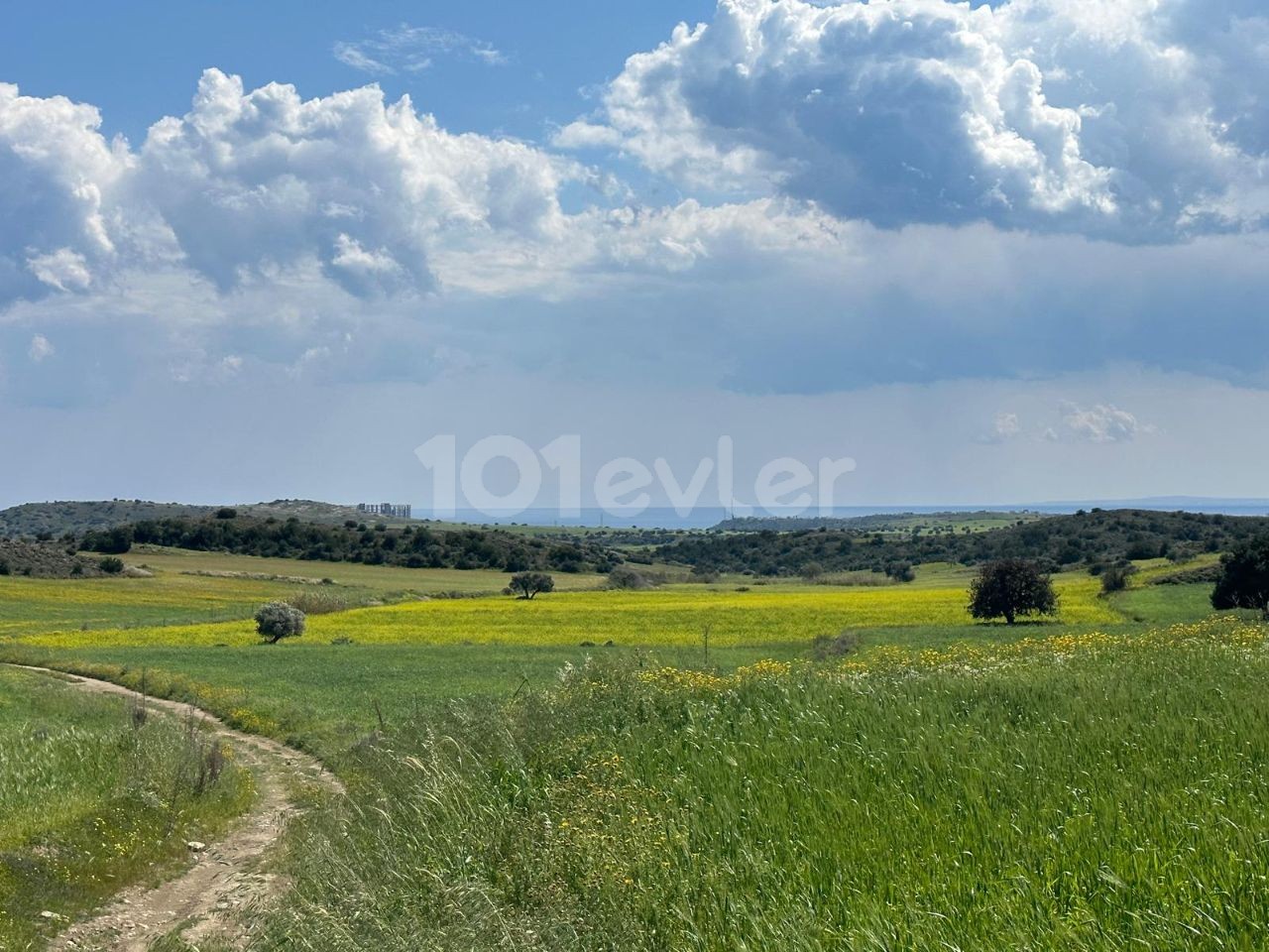 زمین برای فروش در تورنالار با اندازه کلی 14,718 متر مربع کل * * 2 90,000** ** 