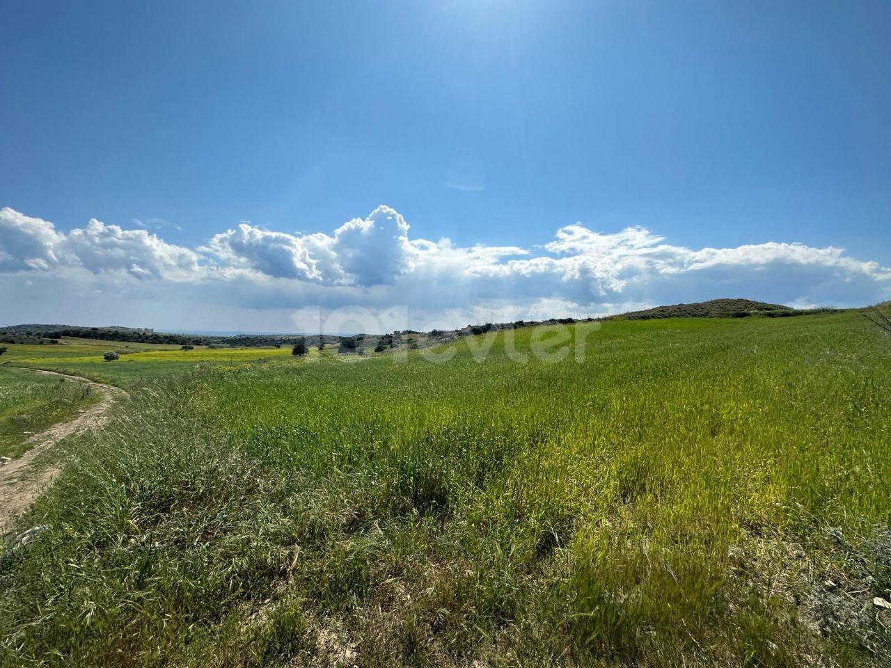 INSGESAMT 14.718 QUADRATMETER LAND ZUM VERKAUF IN KRANALAR GESAMT * * LLORA 90.000** ** 