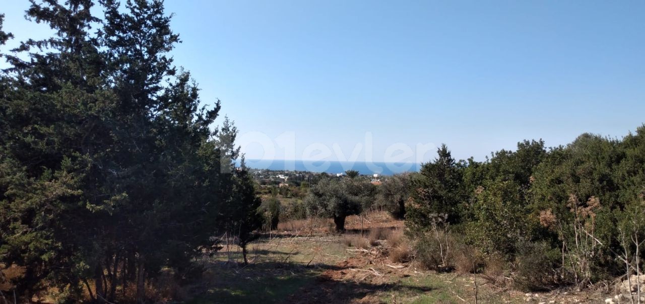  LAND FOR SALE YENİ ERENKOY   10 DONUM 3356 SQUARE METERS   -  ***£28.000 PER DONUM ***                                                        