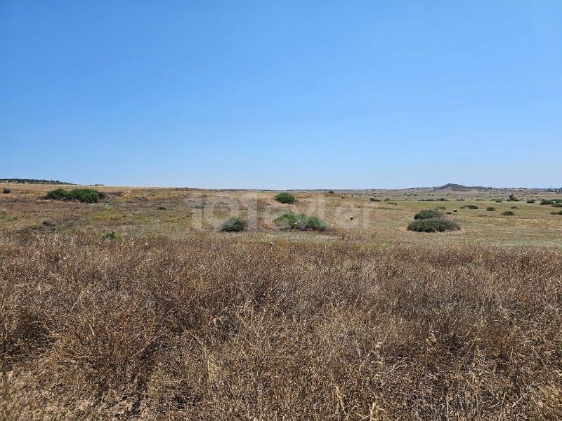 İSKELE    7 DONUM 3 EVLEK ( 10369 M2 )       ***£7.000 STG PER DONUM ***        LAND FOR SALE