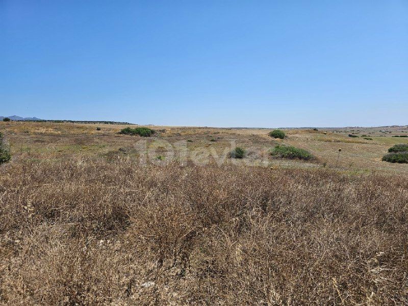 İSKELE 7 DONUM 3 EVLEK ( 10369 M2 ) ***£7.000 STG DONUMU ***  SATILIK ARAZİ