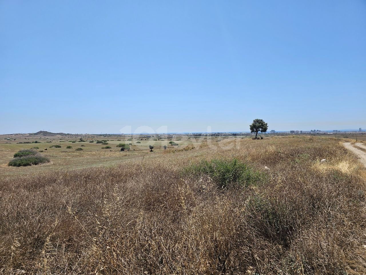 İSKELE    7 DONUM 3 EVLEK ( 10369 M2 )       ***£7.000 STG PER DONUM ***        LAND FOR SALE