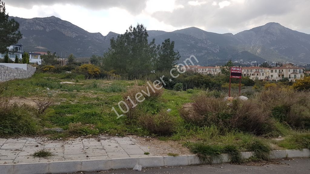 Land for sale near Ozankoy road (Kyrenia district)