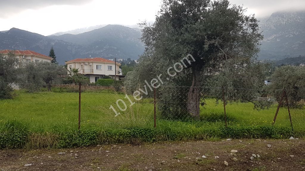 Land for sale near Ozankoy road (Kyrenia district)