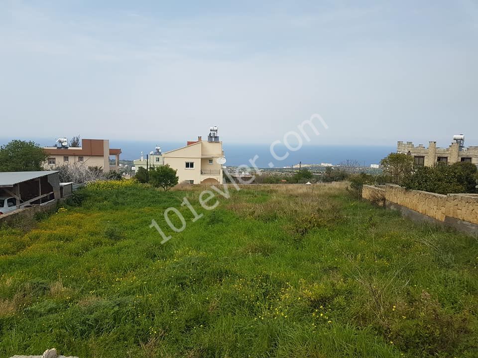 Wohngebiet Kaufen in Arapköy, Kyrenia