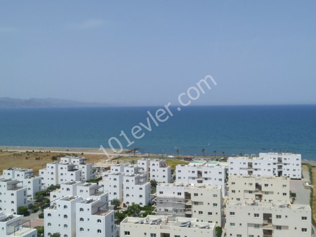 Studio Apartments for sale in Güzelyurt +90 533 841 76 78 