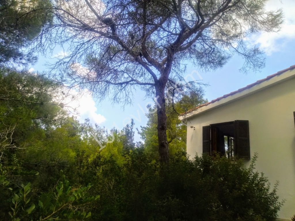 Villa Kaufen in Çamlıbel, Kyrenia