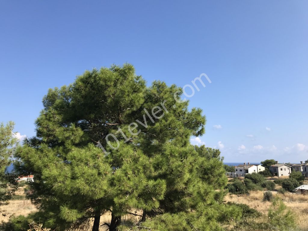 FOR SALE LAND IN KYRENIA LAPTA