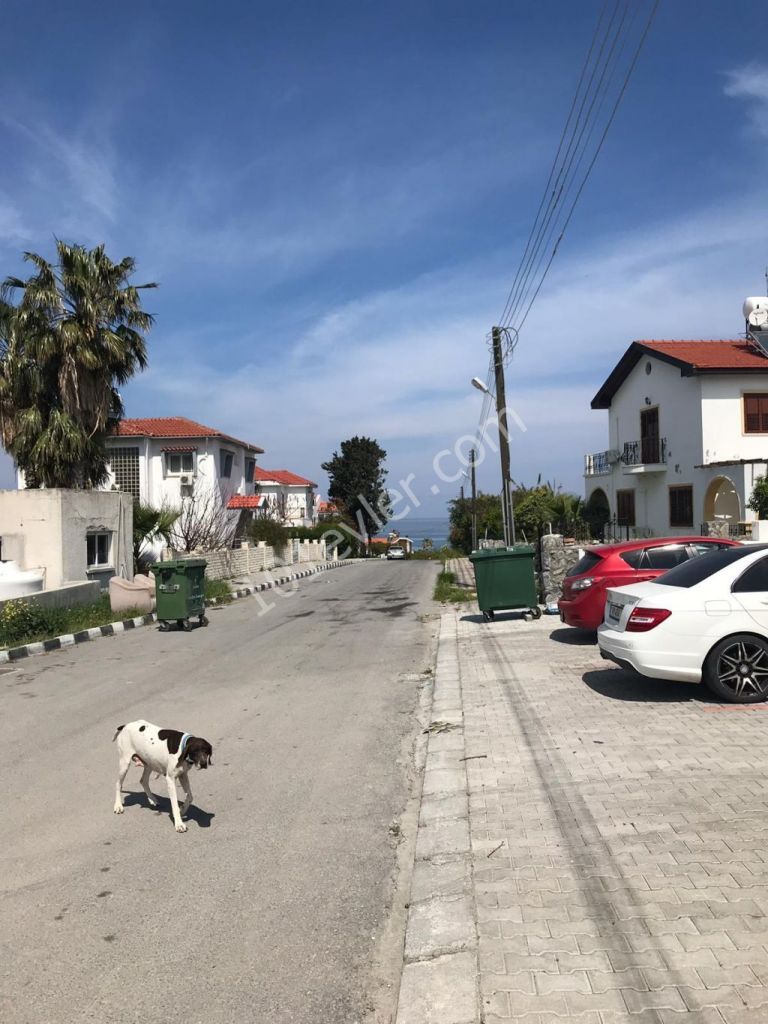 Girne Alsancak'ta Daire VILLA  tarzı Kiraılık +90 533 882 55 99