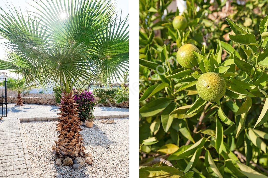 ویلا برای فروش in Esentepe, گیرنه