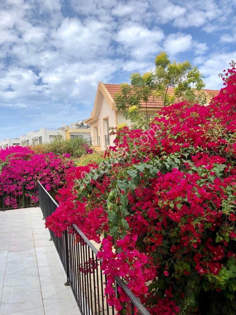 Bungalow Kaufen in Lapta, Kyrenia