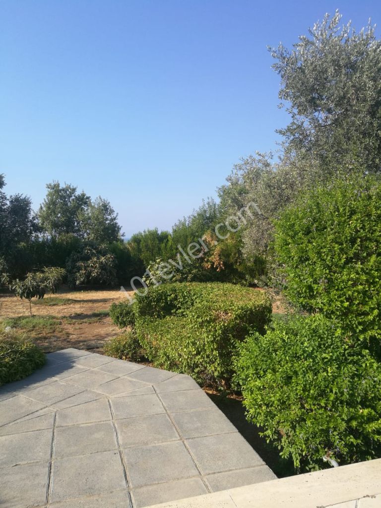 Villa To Rent in Bellapais, Kyrenia