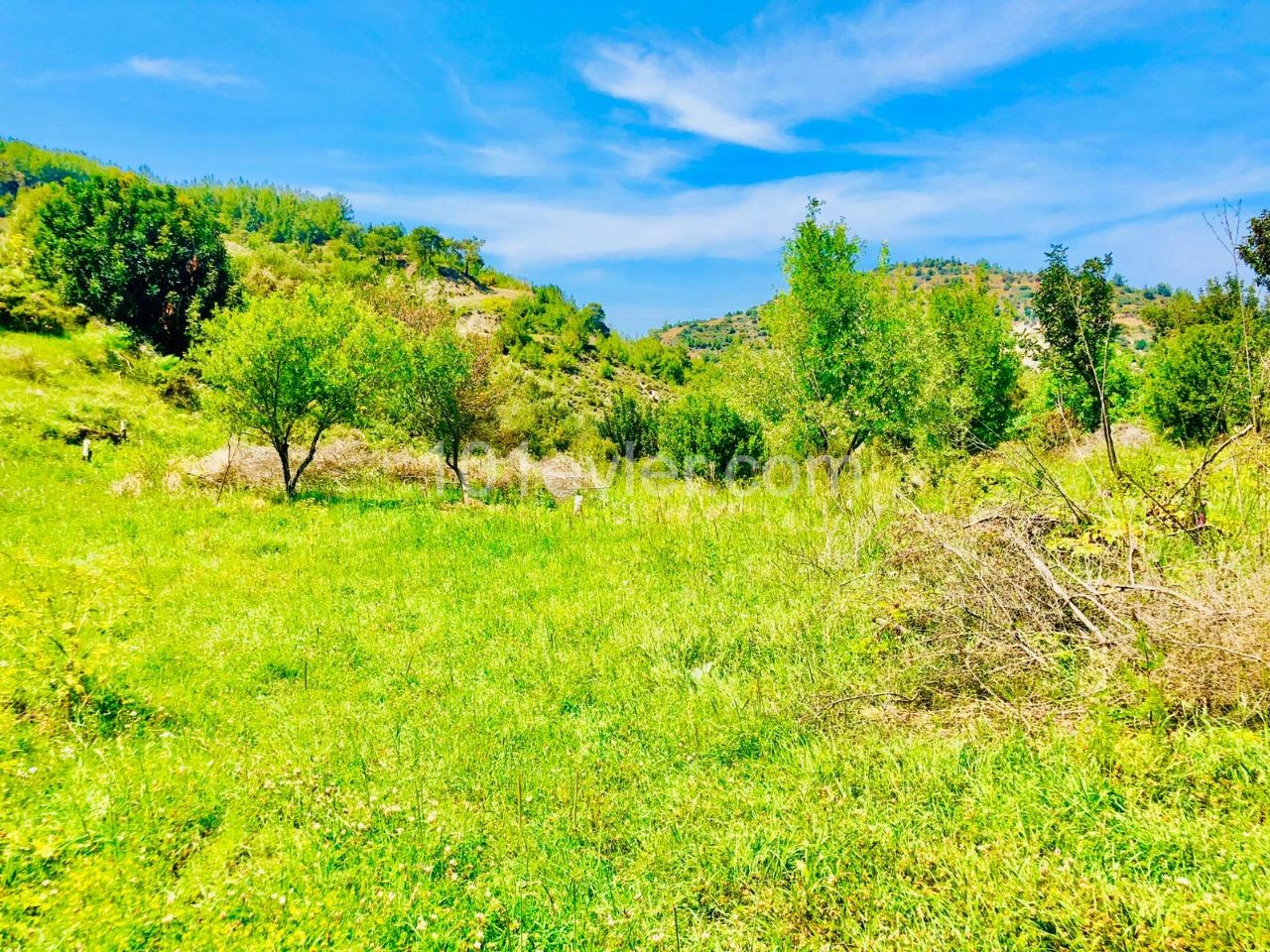 Girne,Ilgaz'da satılık arsa