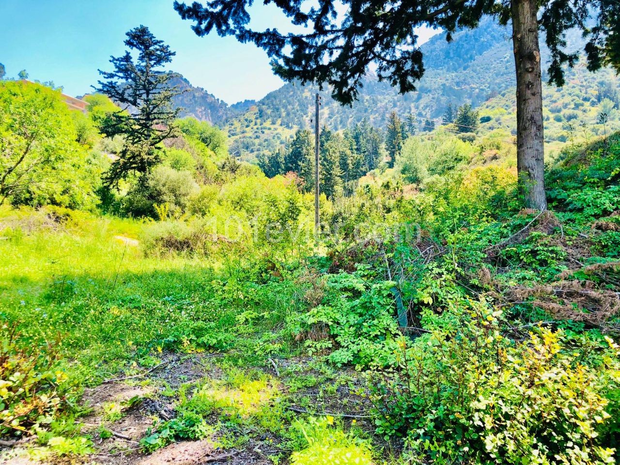 Girne,Ilgaz'da satılık arsa