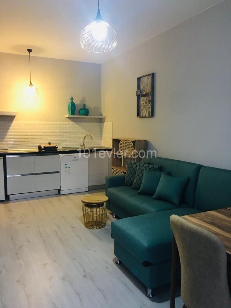 1+1 Apartment For Daily Rent In Karaoglanoglu