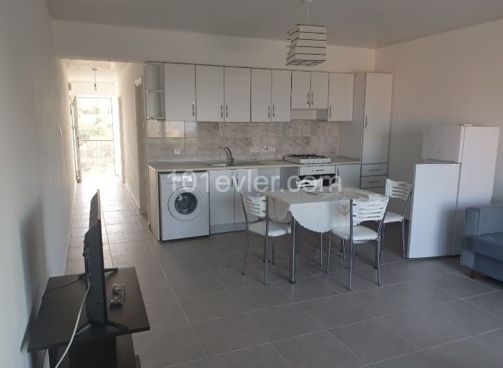 1+1 apartment for rent in Alsancak 