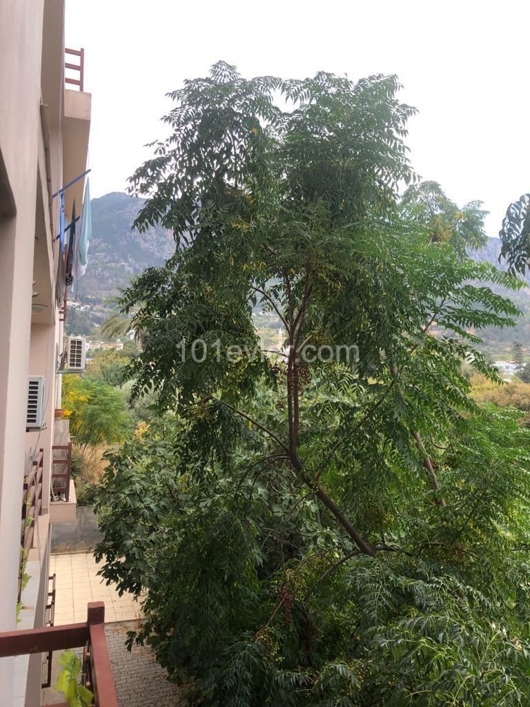1+1 apartment for sale in Lapta 