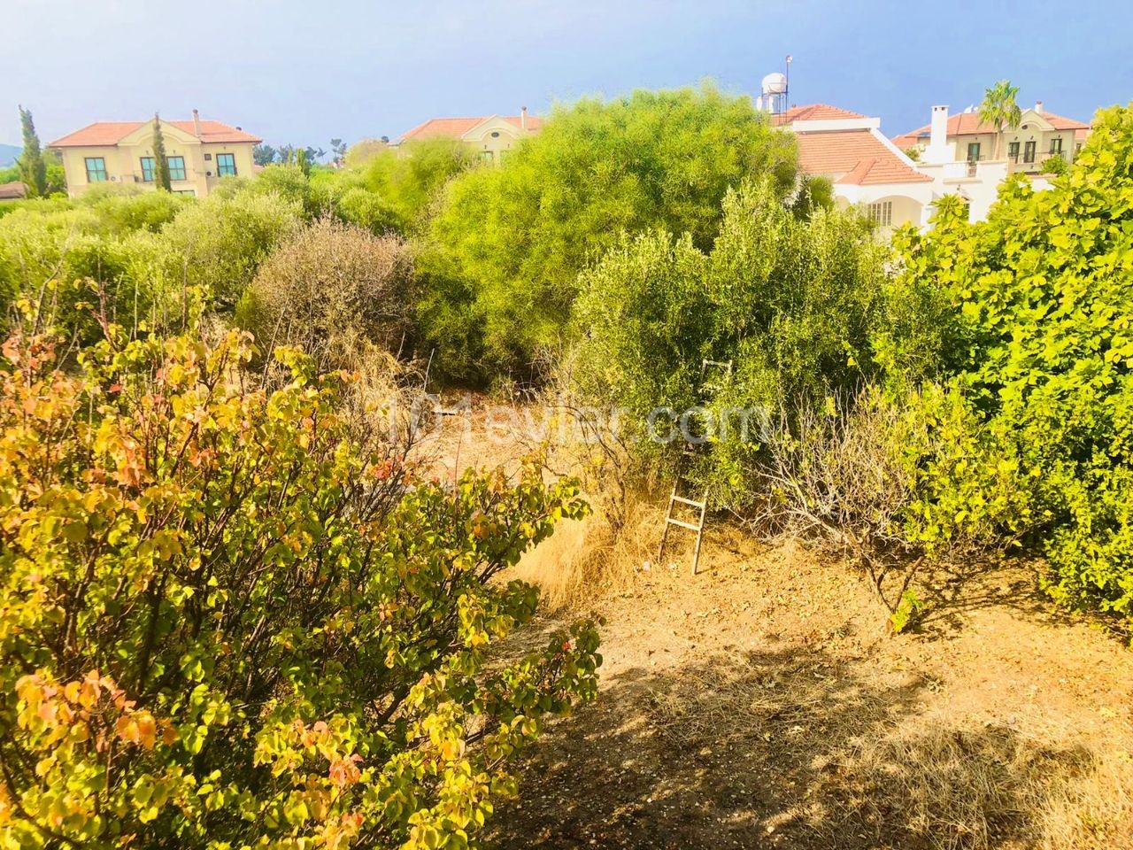 2 dönüm 2030 square feet land and 3+1 villa for sale in Lapta close to the sea and Lapta Coastal Walkway.