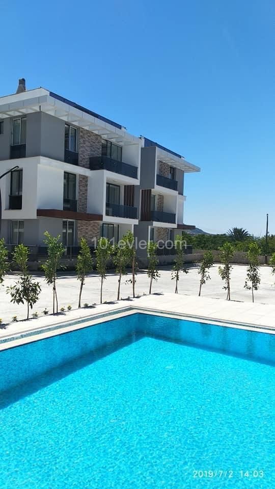 2+1 modern apartment with garden for sale in Lapta 