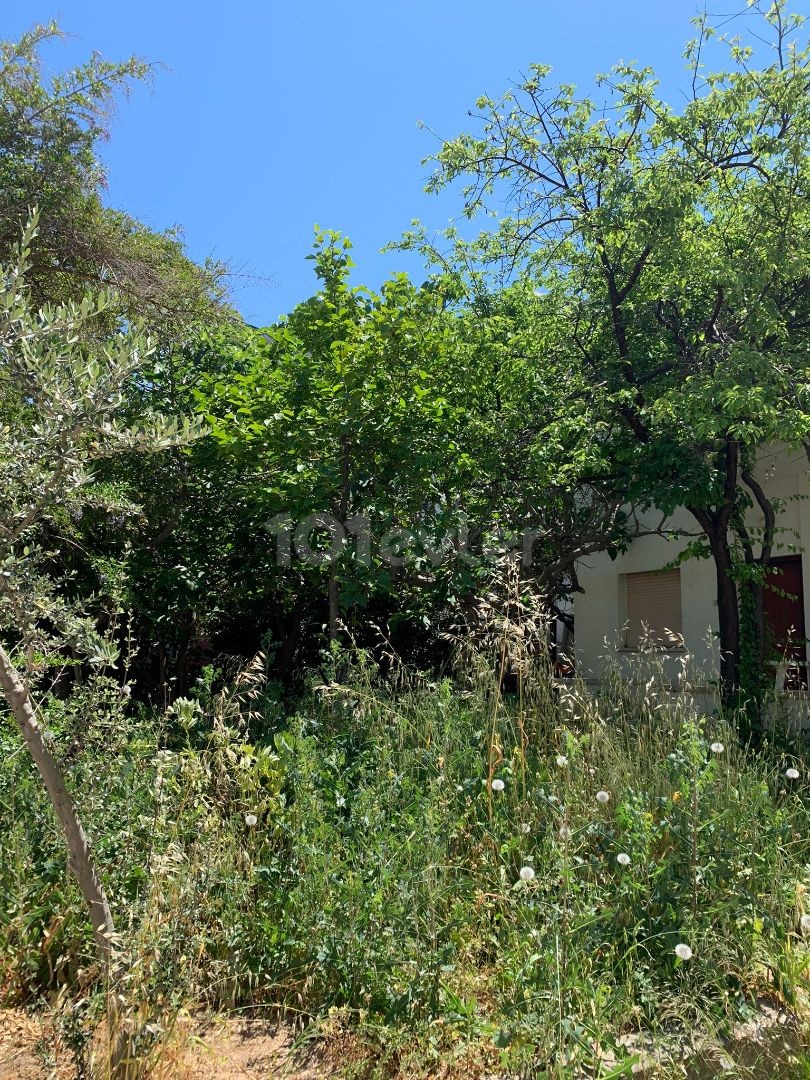 Land for sale in Girne Center + project architecture is ready!!  Behind Şokmar market!