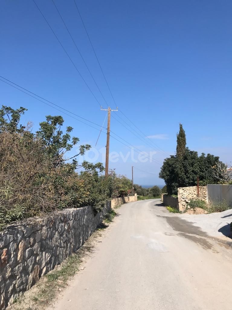 4+1 villa with pool for sale in Bellapaise/Ozankoy