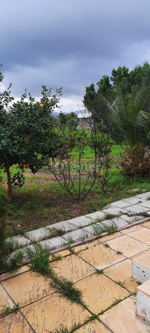 Girne Çatalköy'de satılık ikiz villa