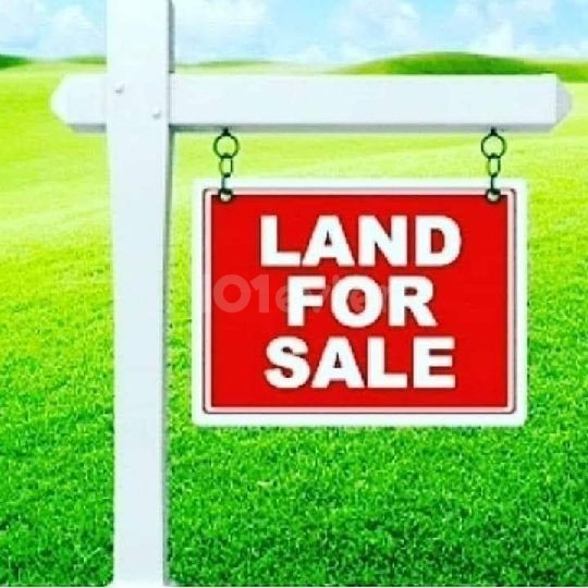  Grundstück zu verkaufen in Catalkoy , Grundstück geeignet für Villa