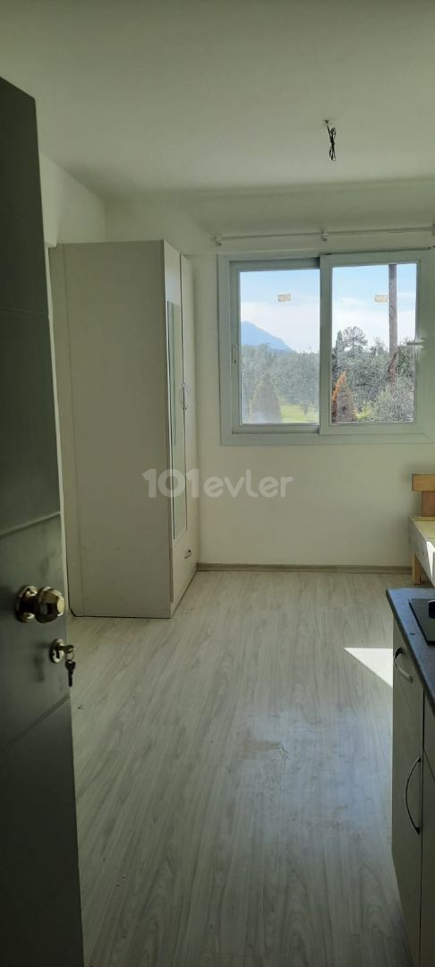 Studios for rent in a new house in Karaoglanoğlu