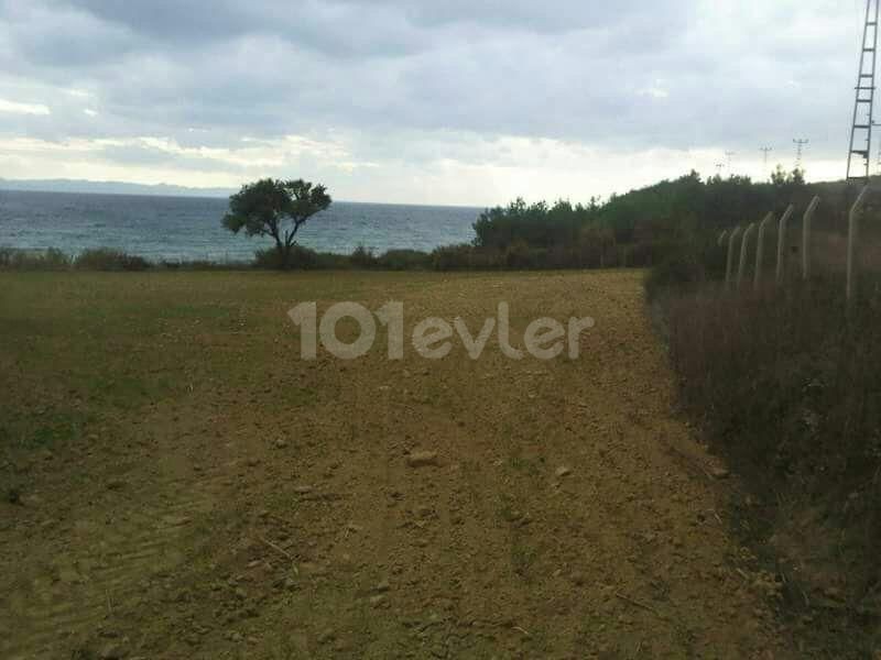 Land for sale in Edirne Keşan