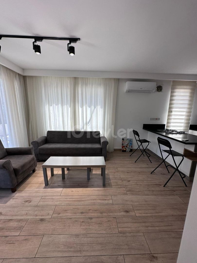 1+1 apartment for rent in Ozanköy