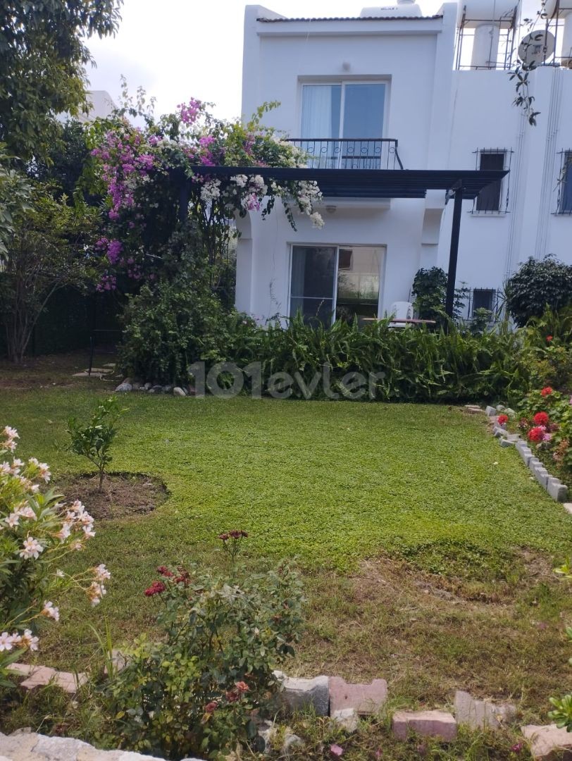 Girne Amerikana Yürüme Mesafesinde Öğrenciye Uygun Kiralık 3+1 İkiz Villa