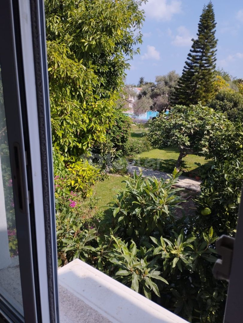 Girne Amerikana Yürüme Mesafesinde Öğrenciye Uygun Kiralık 3+1 İkiz Villa