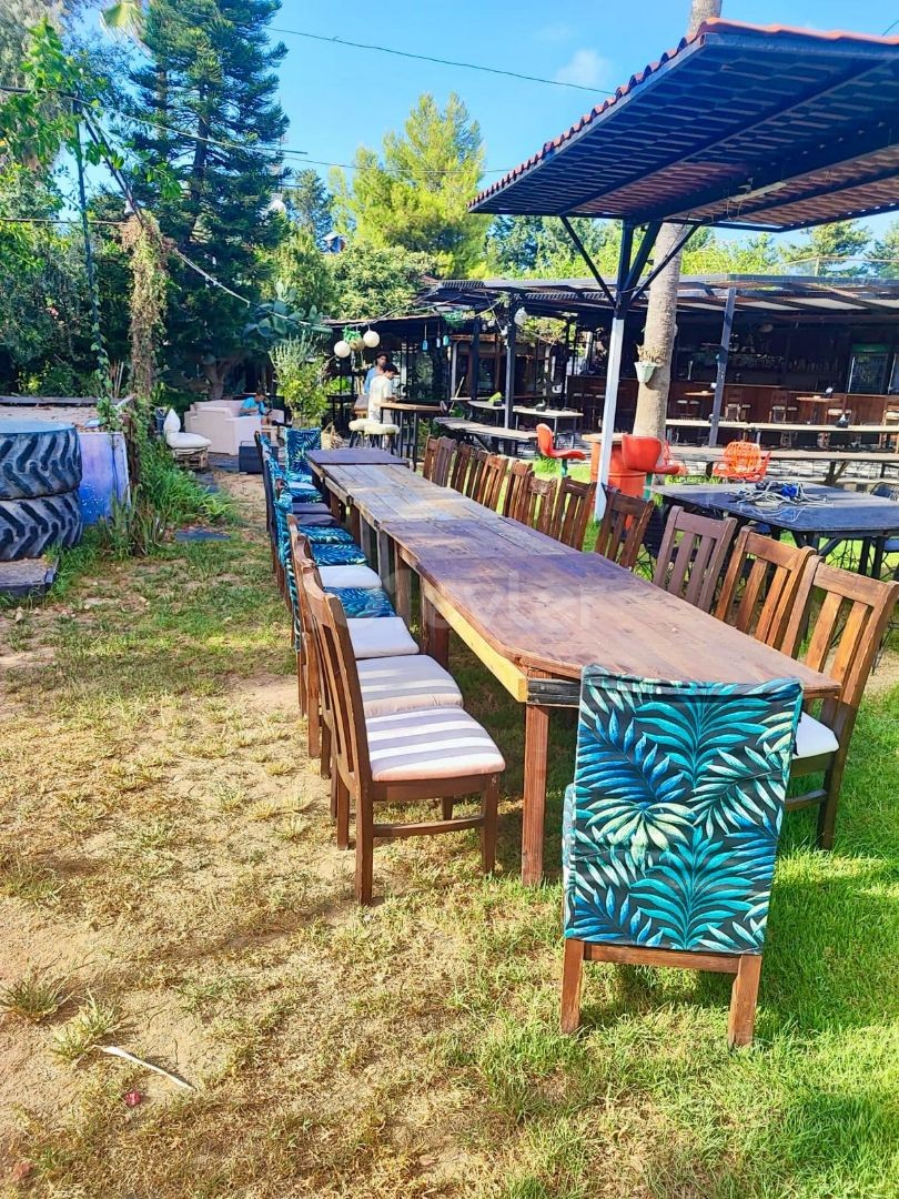 Girne Çatalköy'de satılık restoran, bar işletmesi