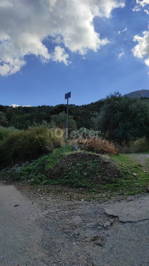 Plot for Sale with Sea and Mountain Views in a Corner Location in Lapta, Kyrenia