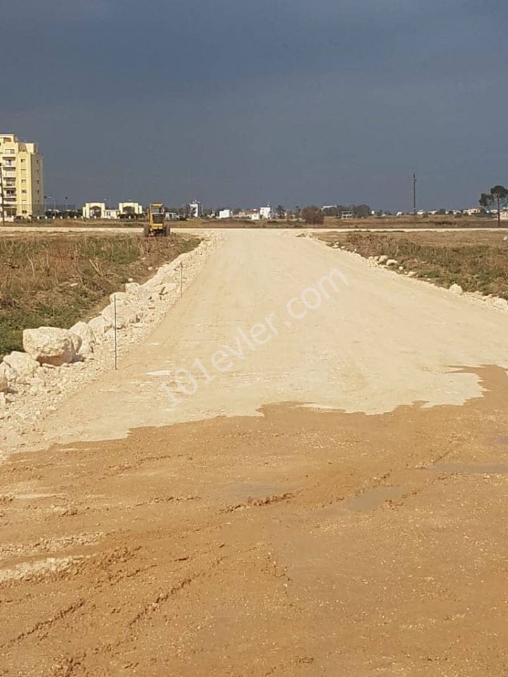 Long Beach Satılık Arsalar