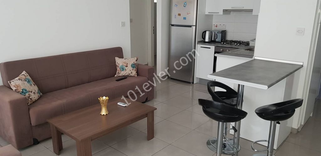 Sakarya Bölgesi'nde Kiralık 2+1 Daire Bilgi için: 05338649682