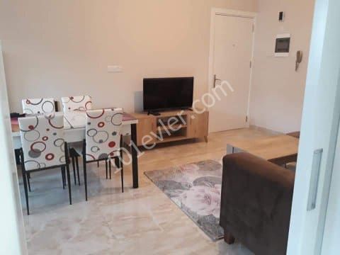 For information on Furnished 2+1 Apartments in Kaliland Region:05338867072 ** 