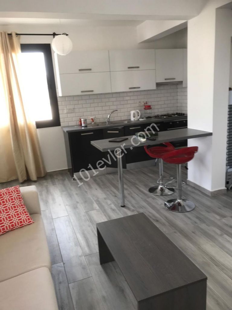 1+1 PENTHOUSE FOR RENT NEAR STARLING MARKET