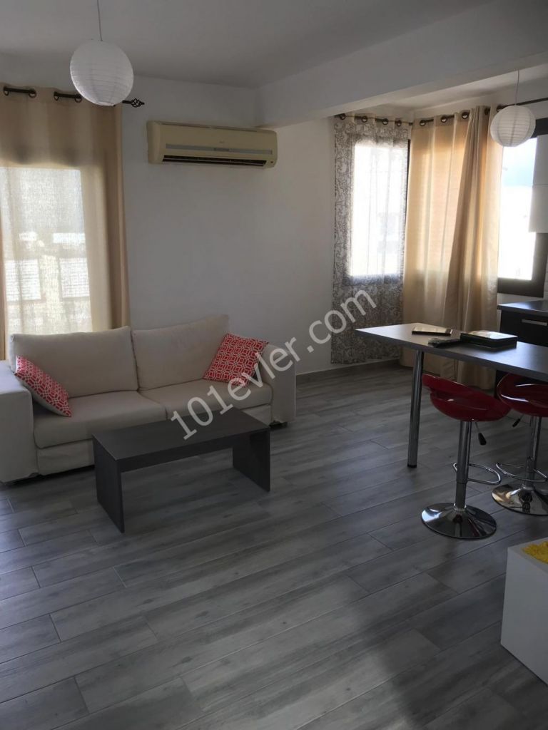 1+1 PENTHOUSE FOR RENT NEAR STARLING MARKET
