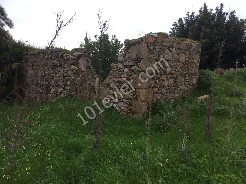 Ruinengebäude Kaufen in Karşıyaka, Kyrenia