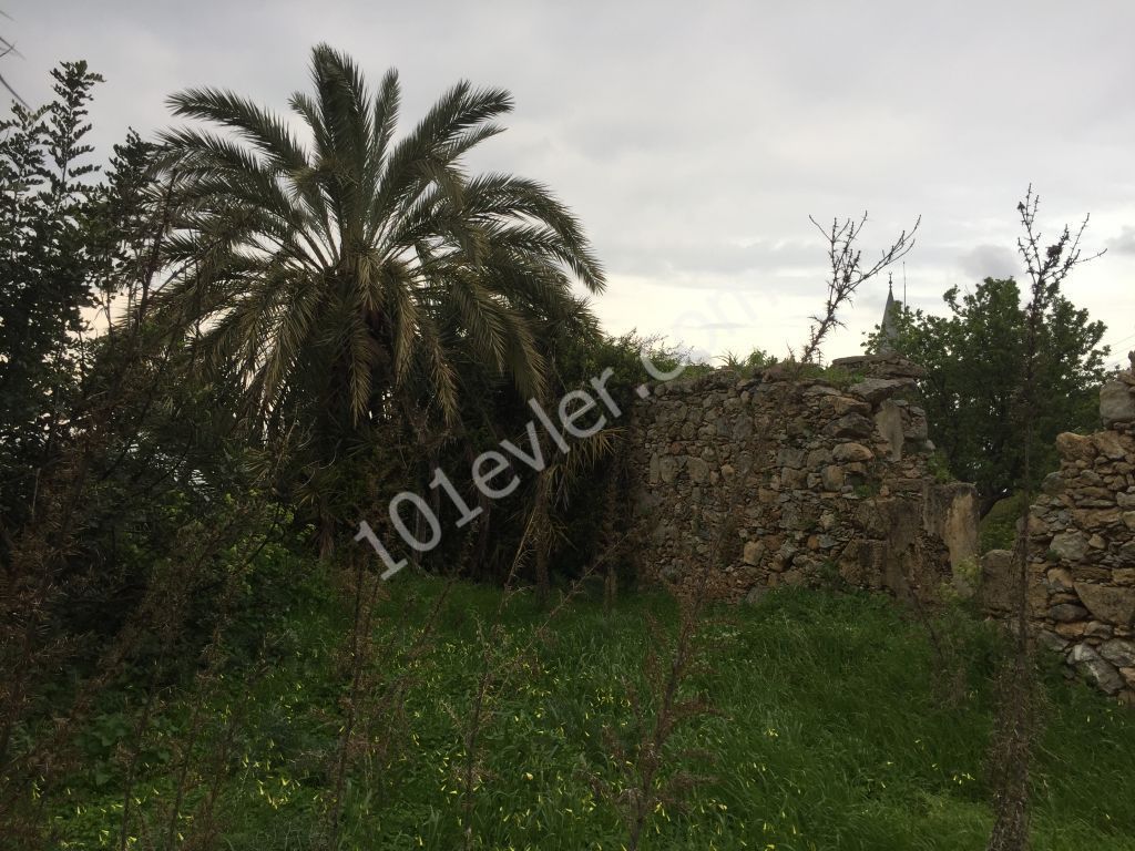 Turkish title RUIN located in  KARSIYAKA village