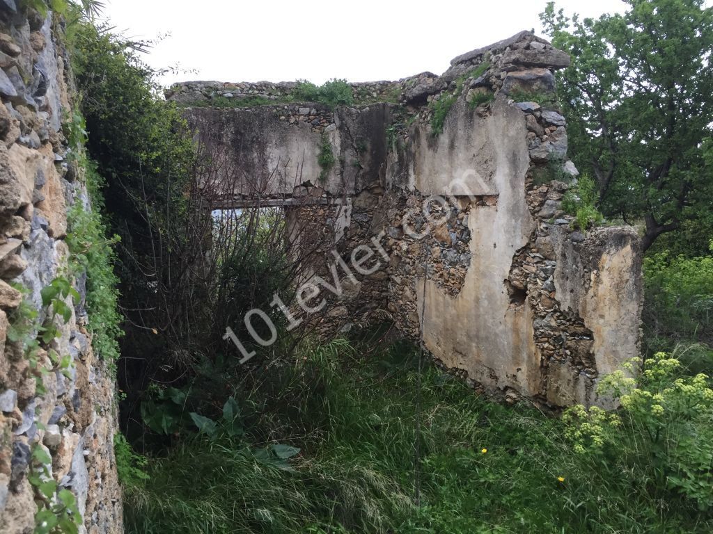 Turkish title RUIN located in  KARSIYAKA village