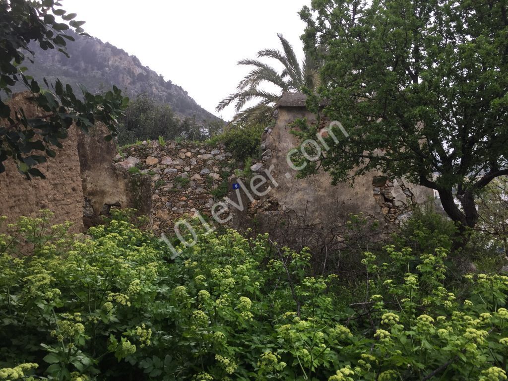 Turkish title RUIN located in  KARSIYAKA village