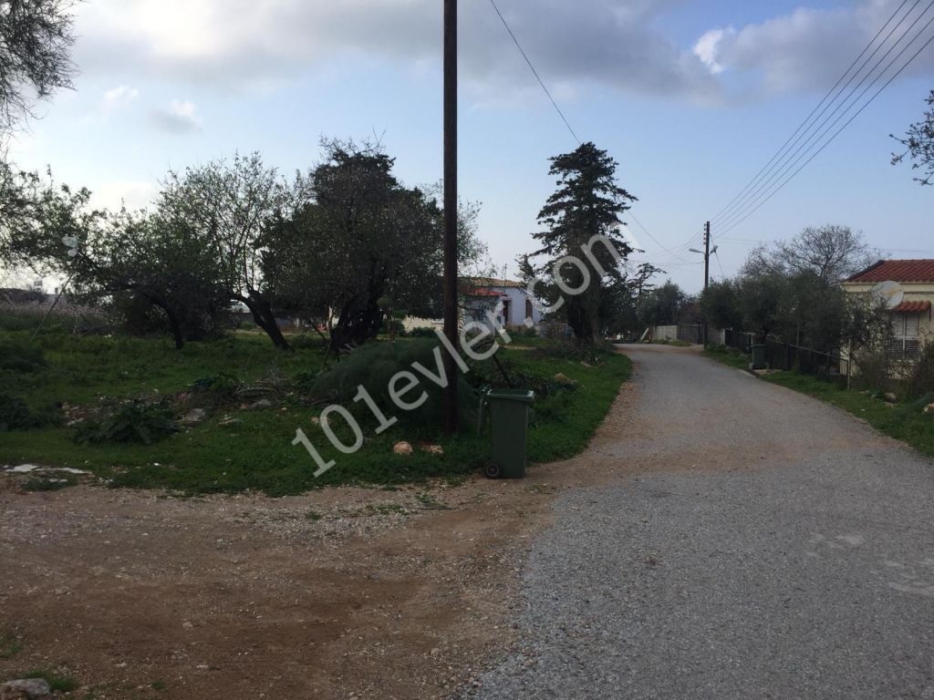 BEAUTIFUL STONE HOUSE IN ESENTEPE WITH GARDEN- needs the skillfull hands to renovate