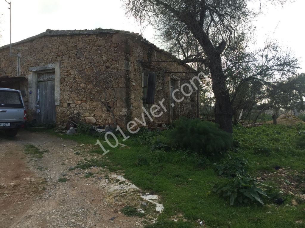 BEAUTIFUL STONE HOUSE IN ESENTEPE WITH GARDEN- needs the skillfull hands to renovate