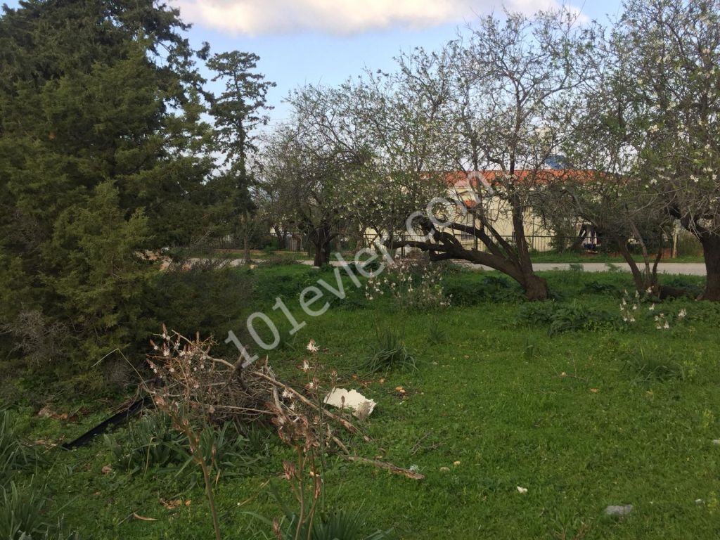 Girne, Esentepe'de satılık  taş ev  bahçe- doğru bir restorasyon projesi ile muhteşem olabilecek bir proje