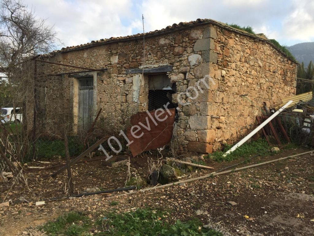 BEAUTIFUL STONE HOUSE IN ESENTEPE WITH GARDEN- needs the skillfull hands to renovate