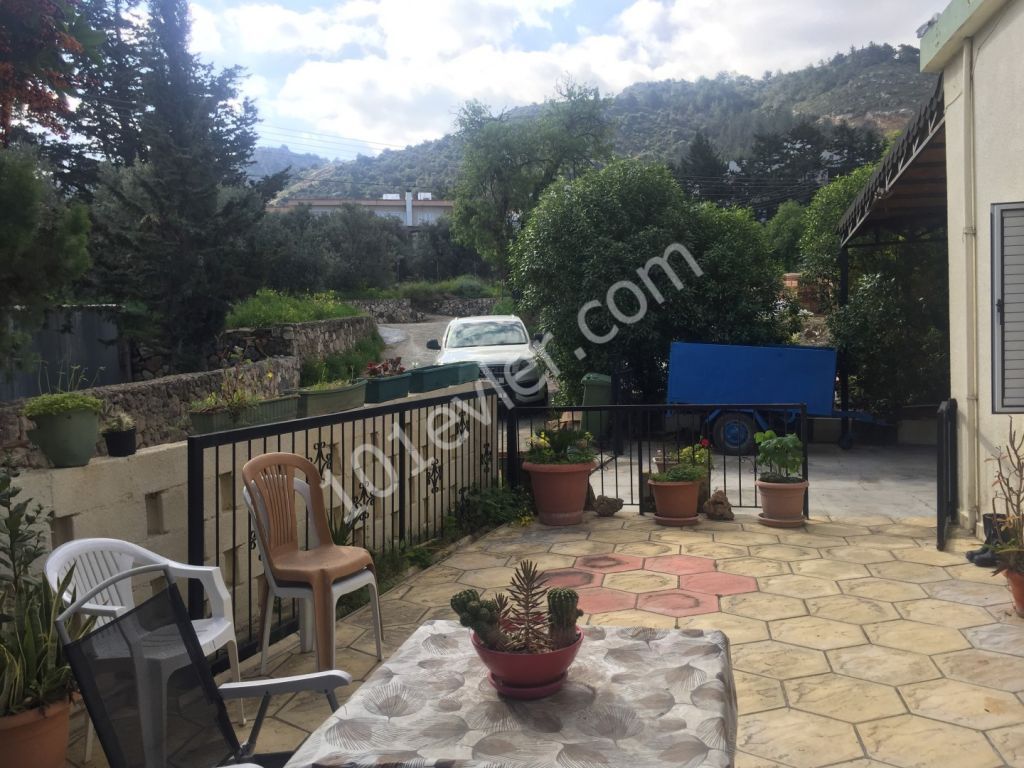 2 Cypriot type of  Houses in Lapta with beautiful citruc tree garden.