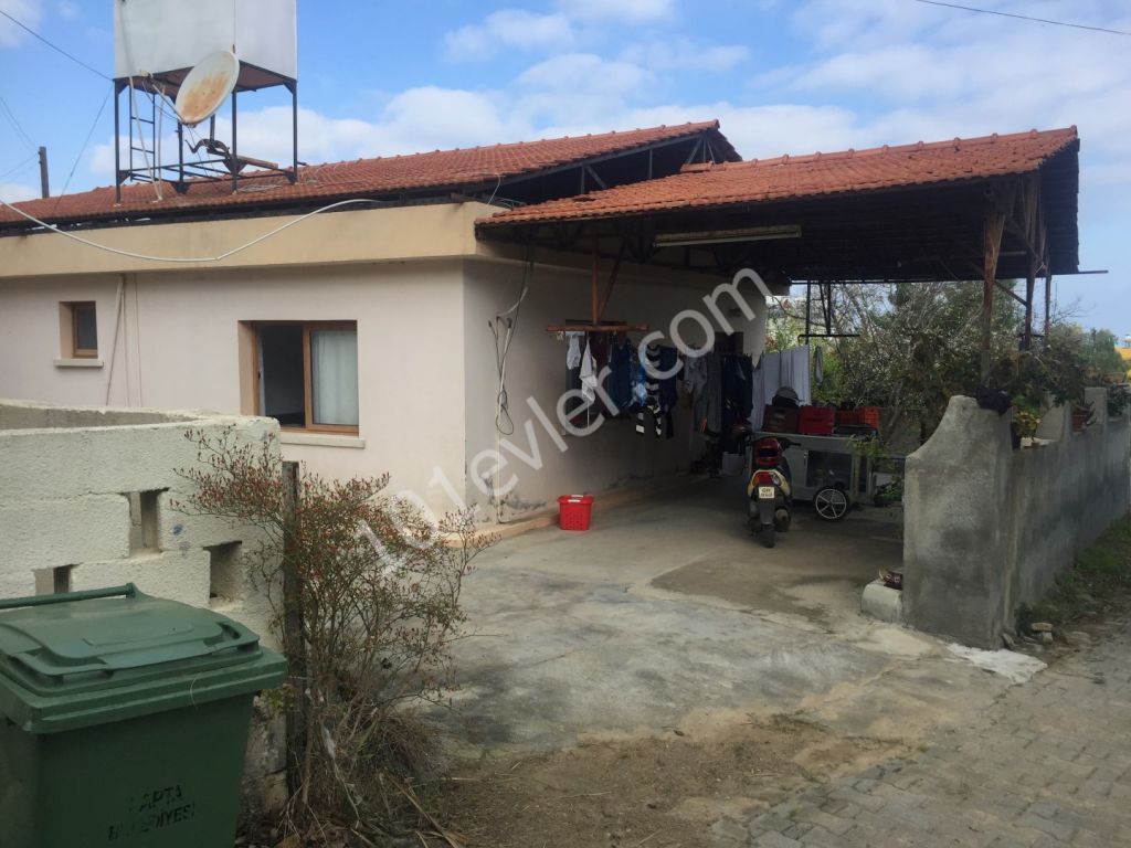 2 Cypriot type of  Houses in Lapta with beautiful citruc tree garden.